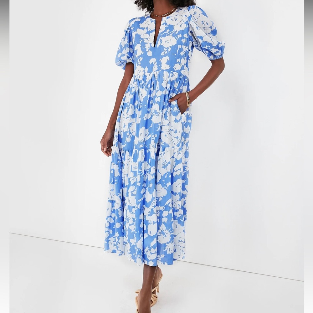 HYACINTH HOUSE
Blue and White Floral Cisco Maxi Dress - Picture 3 of 13